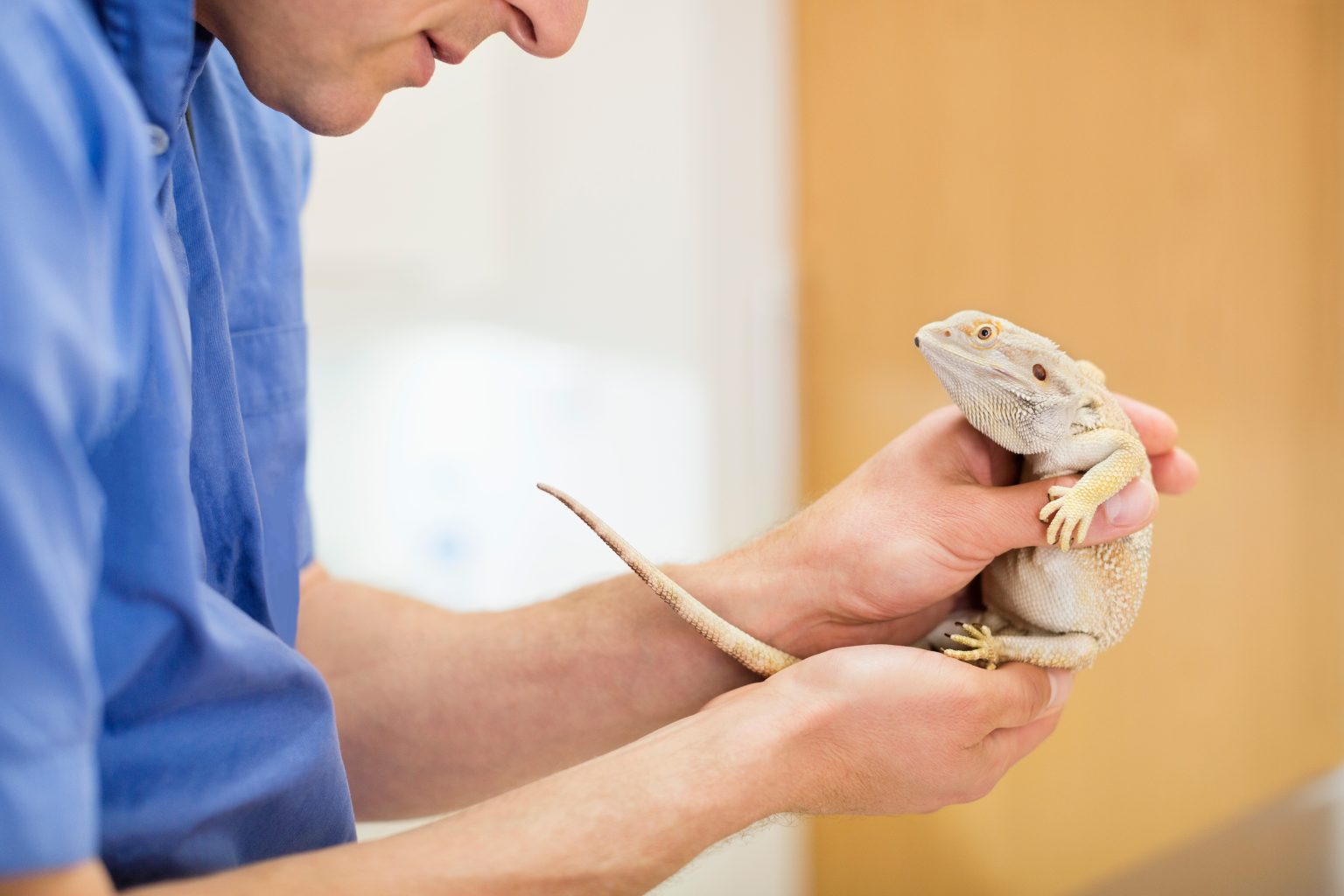 Unsere Stellenangebote | Karriereportal | Import-Export Peter Hoch