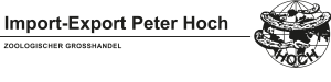 Hoch_Logo_2023